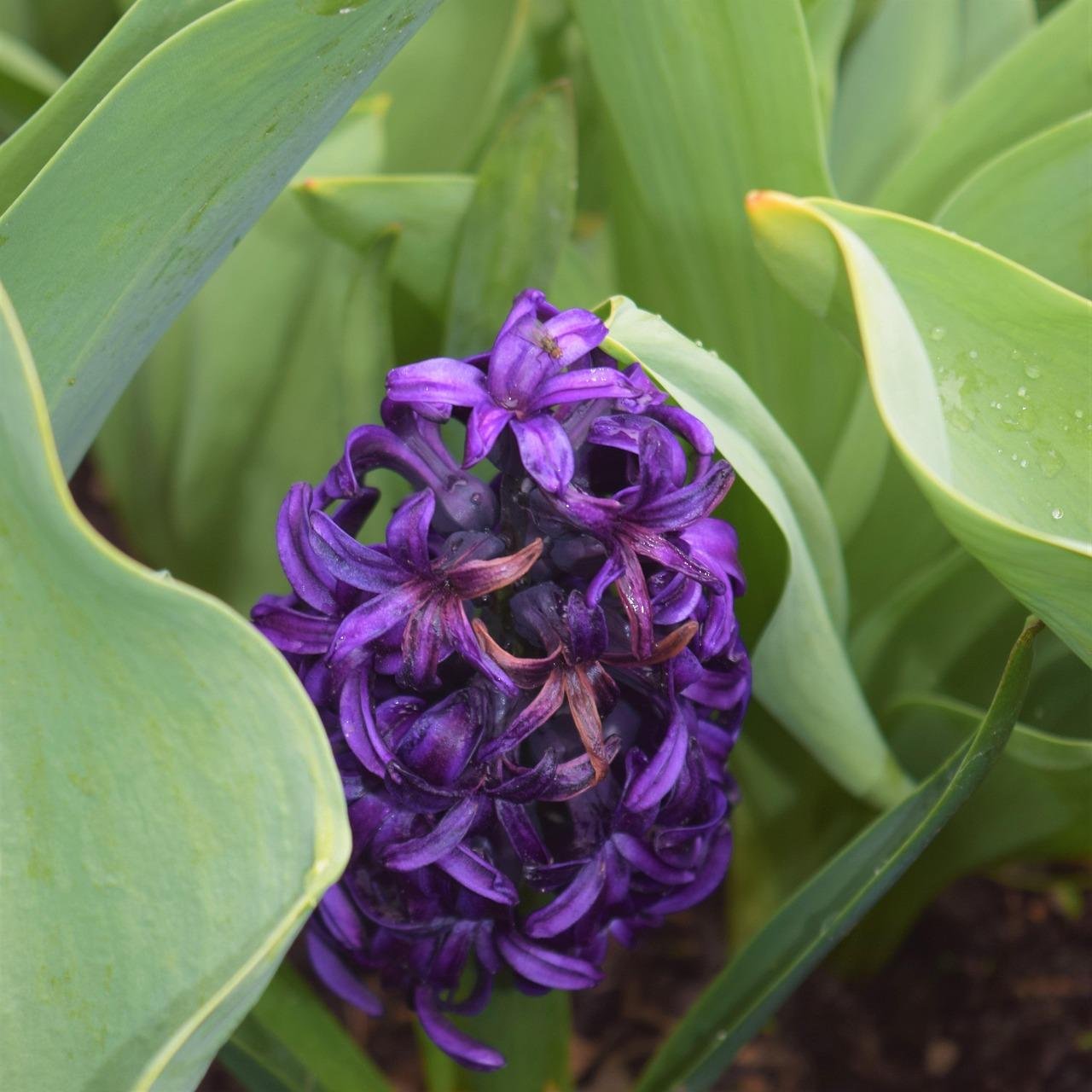 Hidden Gems: Unique Entertainment venues in Marbella